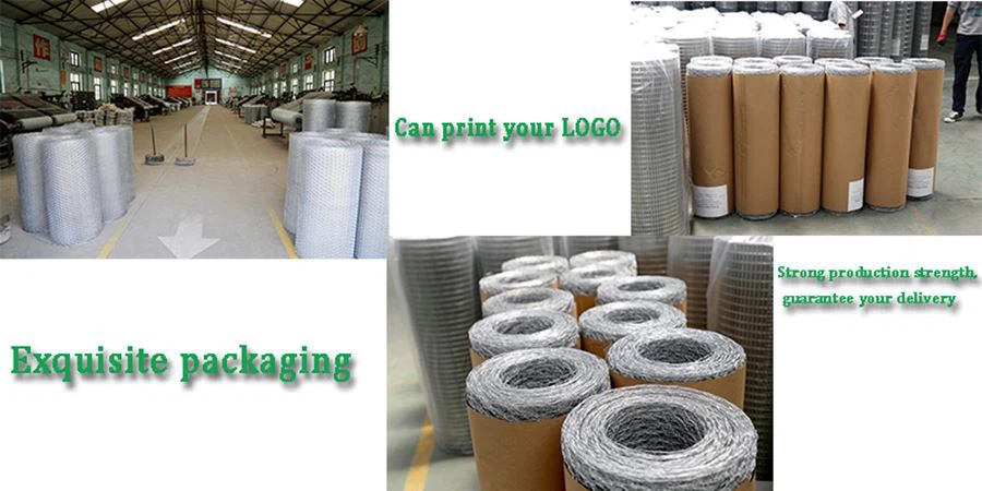 Wire Mesh packing099