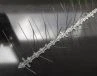 Spikes Repellent Plaisteacha Anti Pigeon