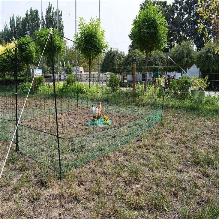 Chicken Fencing Kit For Plastic