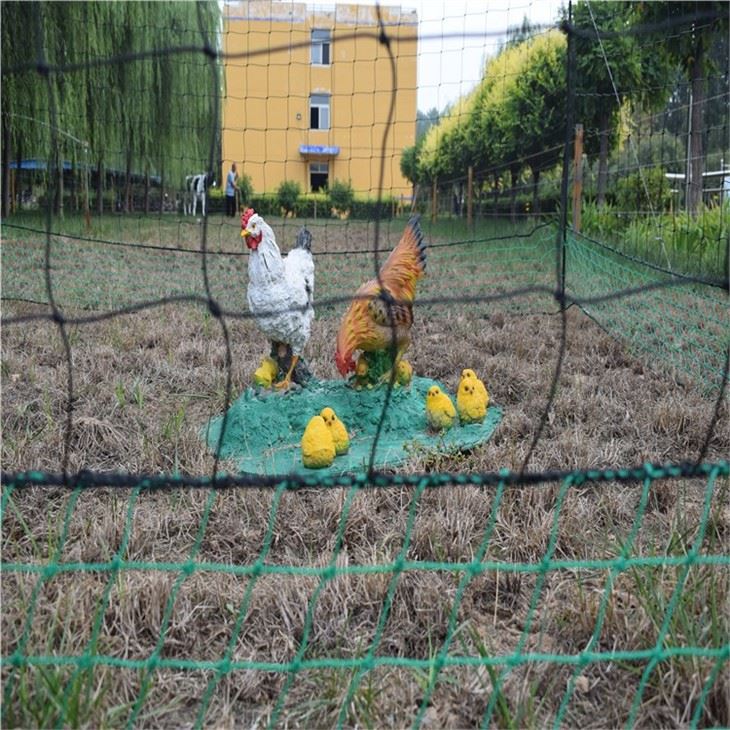Overhead Netting For Chickens