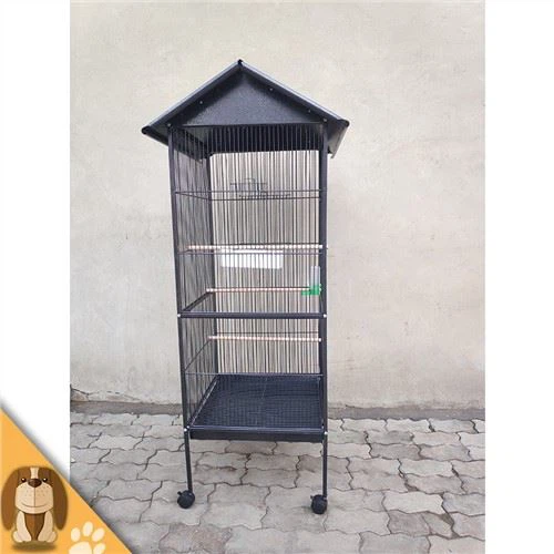 Cage Éan Miotail Móra
