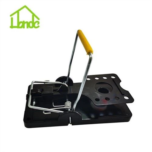 Gaiste Rat Durable Plaisteacha