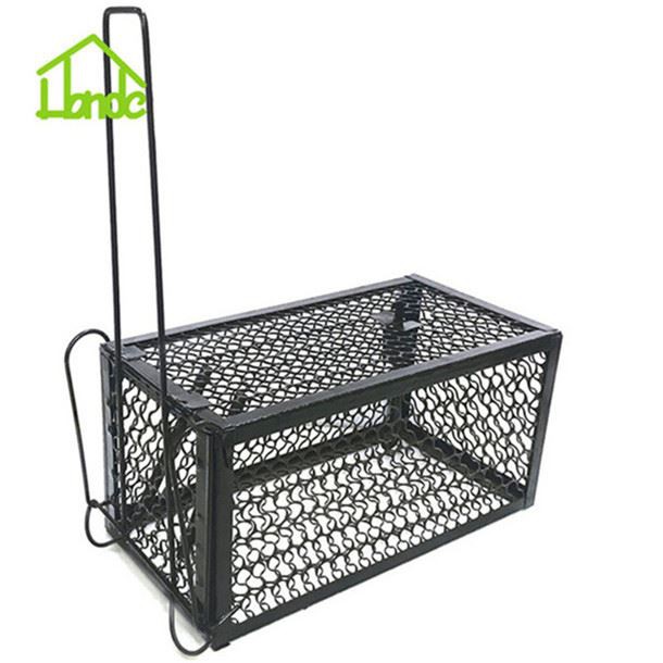 Gaiste Cage Luiche ar Mhéid Bheaga