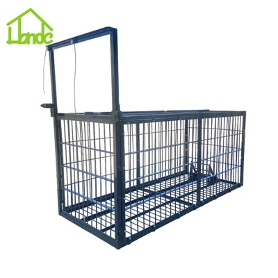 Bear Gaiste Cage